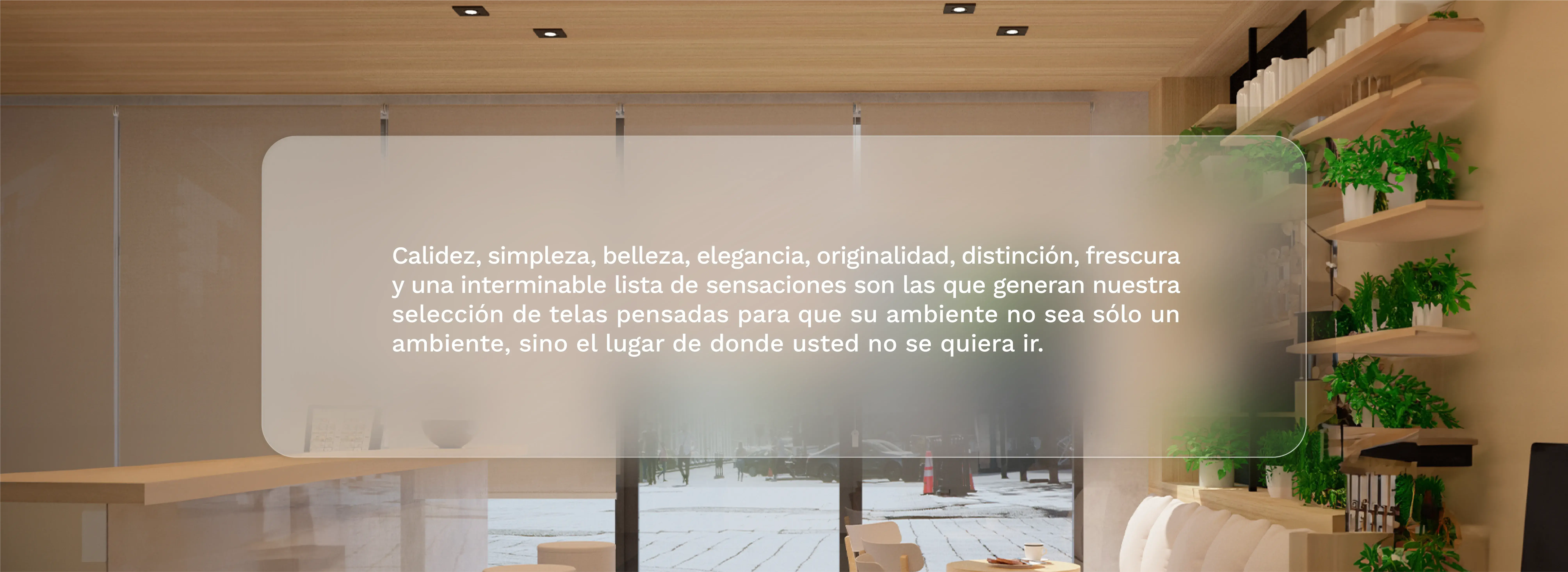 Descripción de la imagen